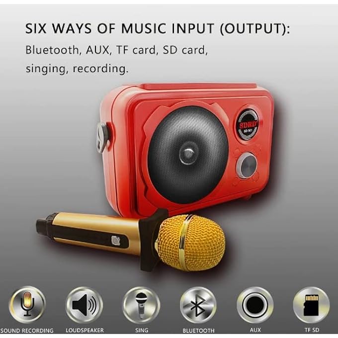 SDRD SD-501 HOME SPEAKER MICROPHONE INTEGRATED SINGLE SING MOBILE PHONE KARAOKE | GOLD - Image 5